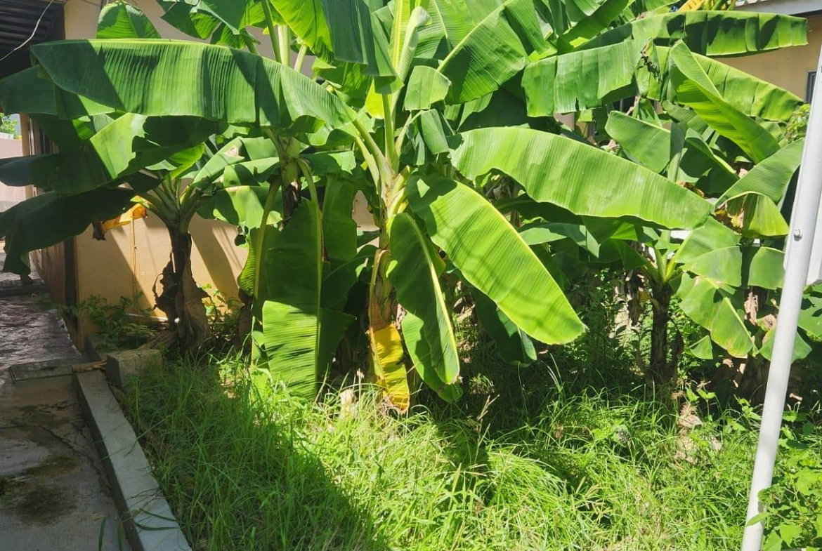 Nineteenth image of Johnson Close in Keystone, St. Catherine, Jamaica - property is For Sale