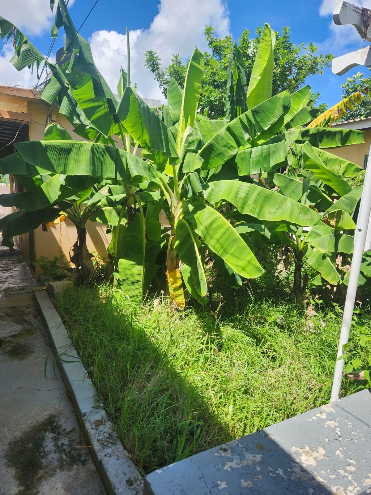 Nineteenth image of Johnson Close in Keystone, St. Catherine, Jamaica - property is For Sale