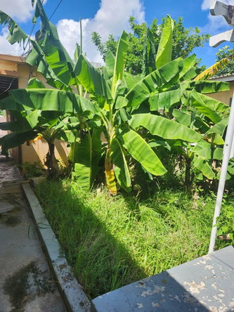 Nineteenth image of Johnson Close in Keystone, St. Catherine, Jamaica - property is For Sale