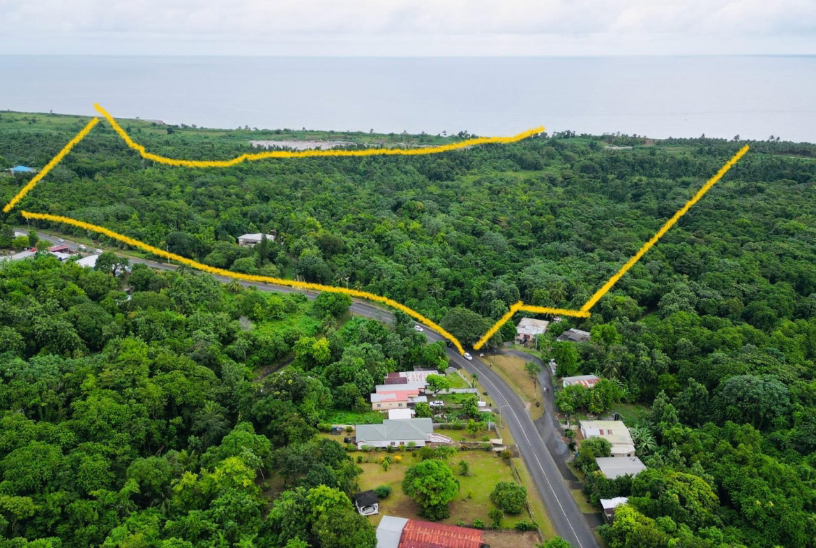 Eleventh image of Lot 1 Hart Hill Main Road in Buff Bay, Portland, Jamaica - property is For Sale