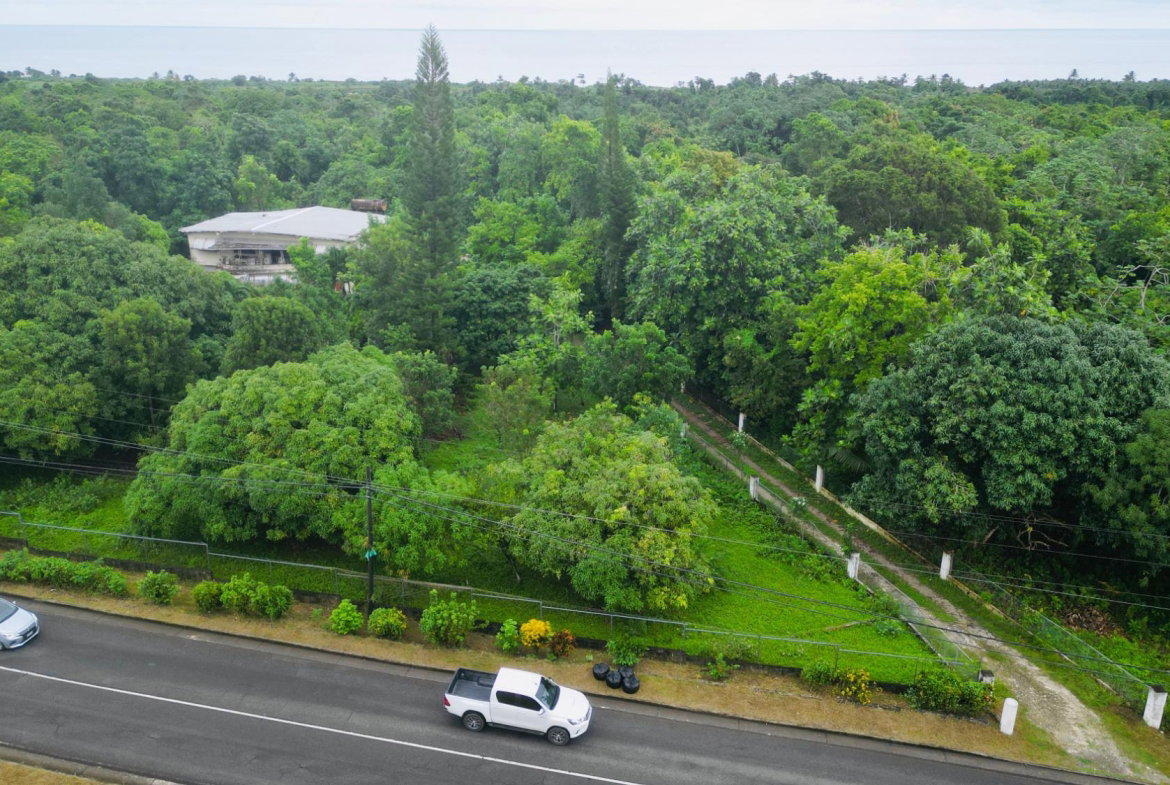 Fourth image of Lot 1 Hart Hill Main Road in Buff Bay, Portland, Jamaica - property is For Sale