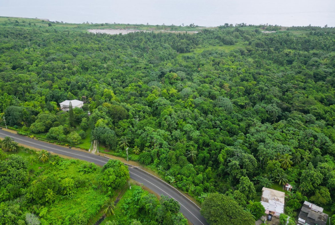 Fifth image of Lot 1 Hart Hill Main Road in Buff Bay, Portland, Jamaica - property is For Sale