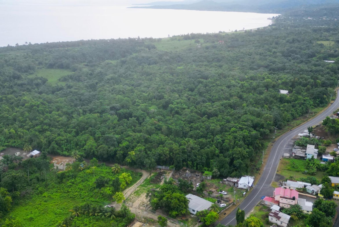 Sixth image of Lot 1 Hart Hill Main Road in Buff Bay, Portland, Jamaica - property is For Sale