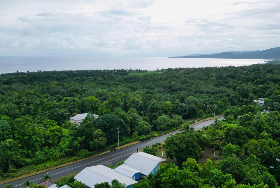 Seventh image of Lot 1 Hart Hill Main Road in Buff Bay, Portland, Jamaica - property is For Sale