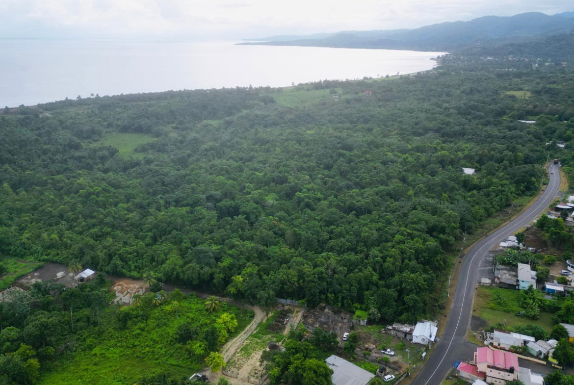 Eighth image of Lot 1 Hart Hill Main Road in Buff Bay, Portland, Jamaica - property is For Sale