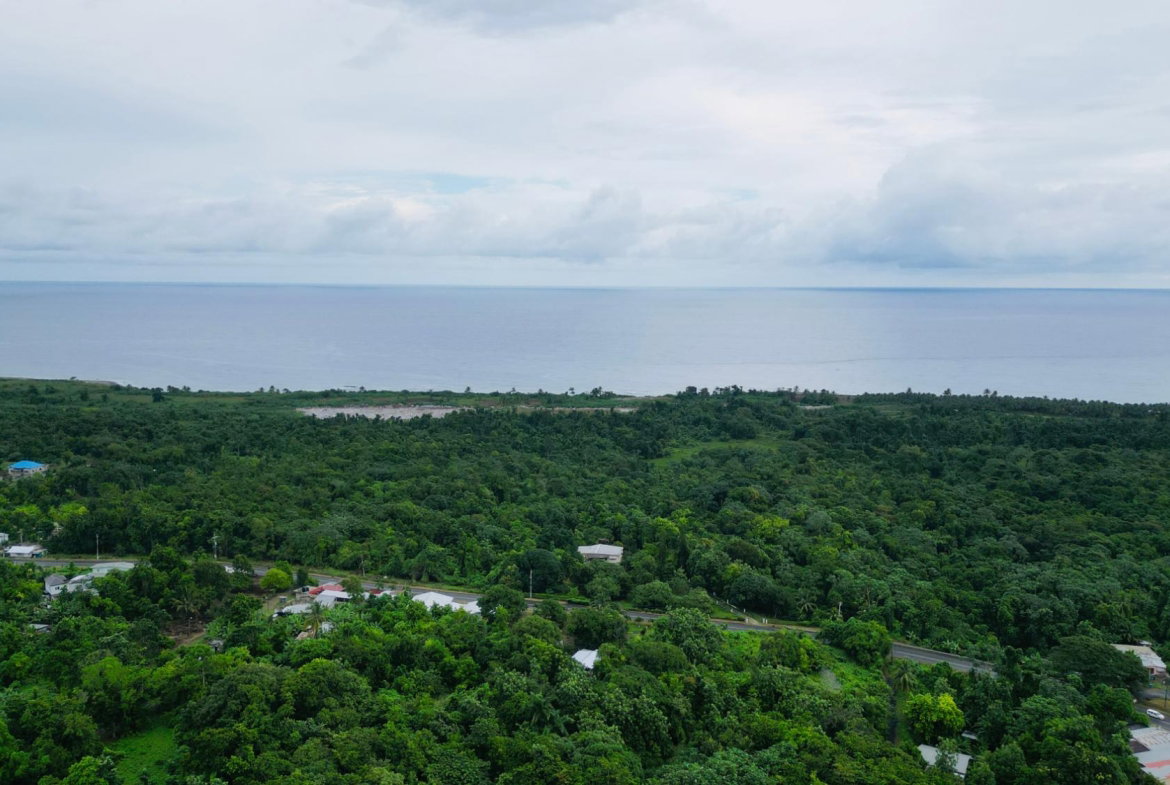 Ninth image of Lot 1 Hart Hill Main Road in Buff Bay, Portland, Jamaica - property is For Sale
