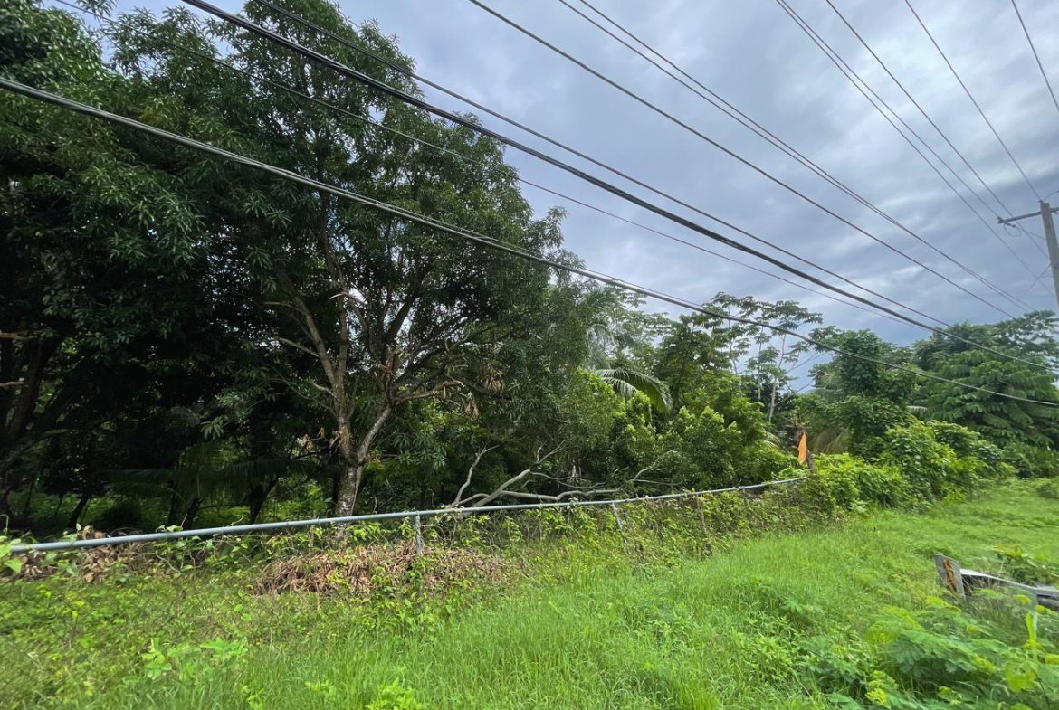 Tenth image of Lot 1 Hart Hill Main Road in Buff Bay, Portland, Jamaica - property is For Sale