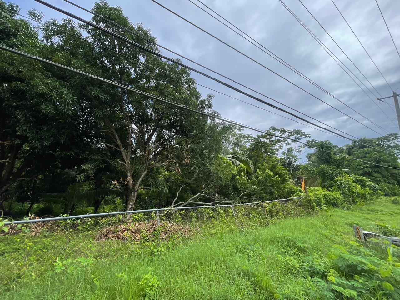 Tenth image of Lot 1 Hart Hill Main Road in Buff Bay, Portland, Jamaica - property is For Sale