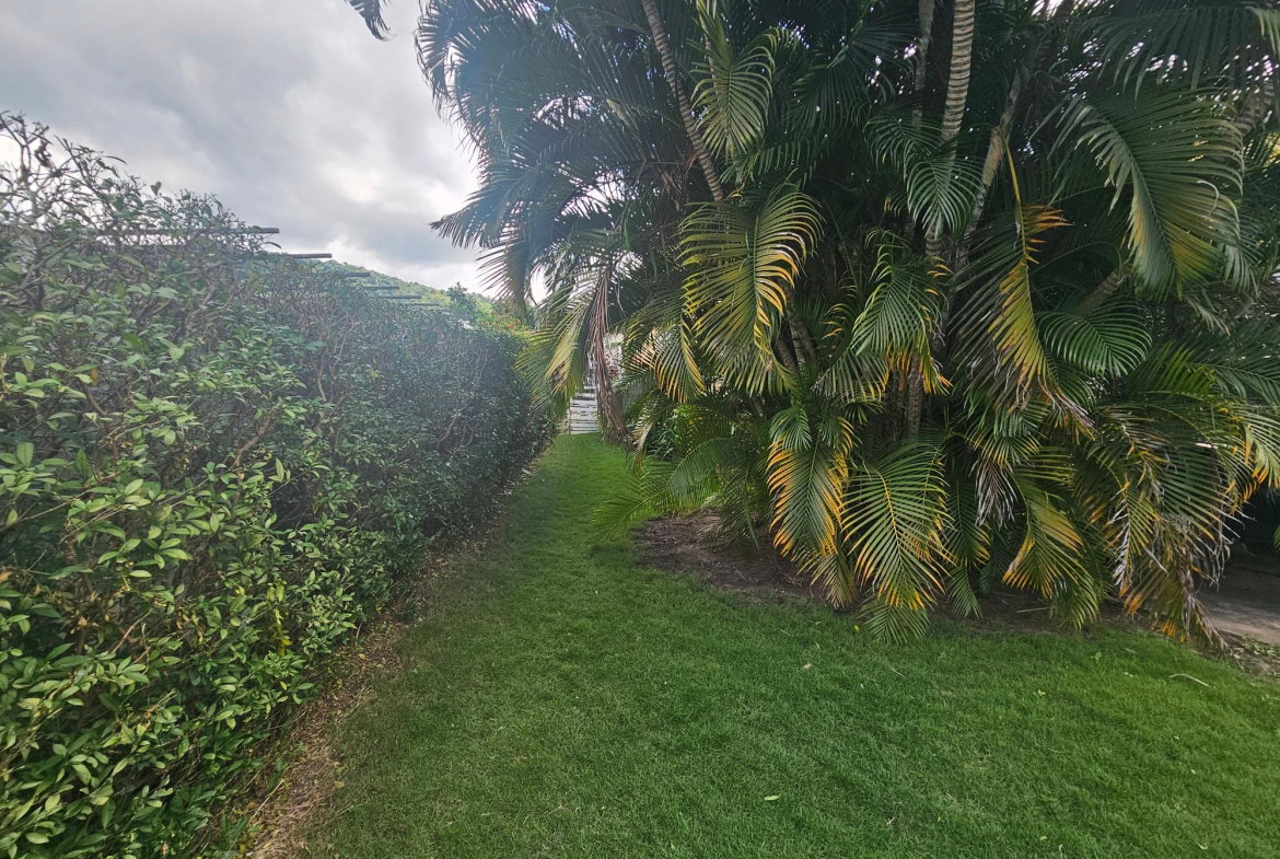 Ninth image of Widcombe in Barbican, St. Andrew, Jamaica - property is For Sale