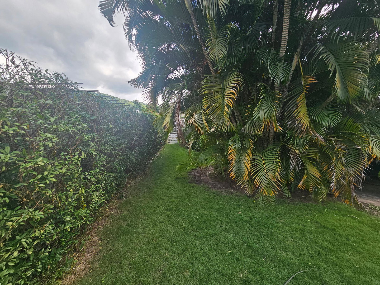 Ninth image of Widcombe in Barbican, St. Andrew, Jamaica - property is For Sale