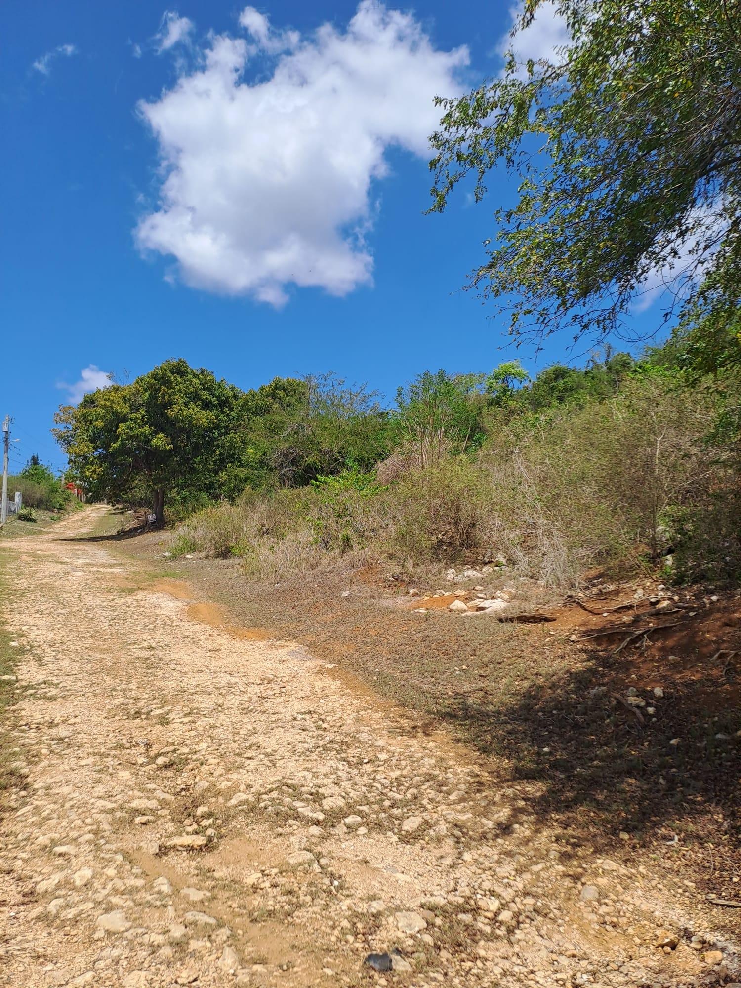 Third image of Lot 4 Mount Dawson, st Catherin in Mount Dawson, St. Catherine, Jamaica - property is For Sale