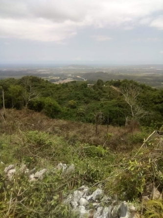 Eighth image of Lot 4 Mount Dawson, st Catherin in Mount Dawson, St. Catherine, Jamaica - property is For Sale