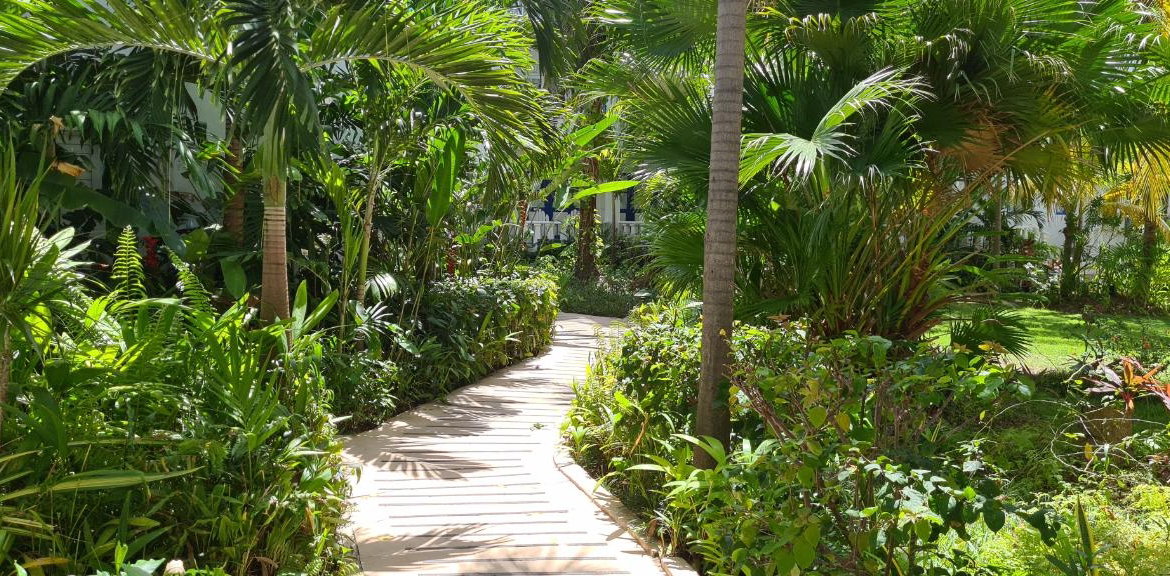 Third image of 116- Main Street, Runaway Bay in Runaway Bay, St. Ann, Jamaica - property is For Sale