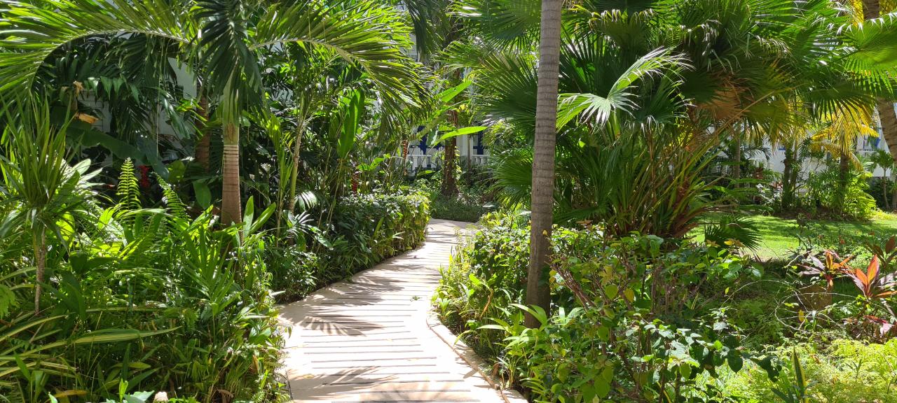 Third image of 116- Main Street, Runaway Bay in Runaway Bay, St. Ann, Jamaica - property is For Sale