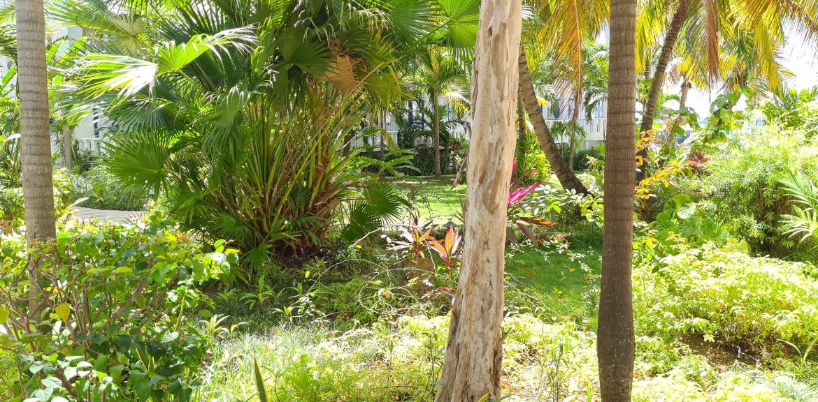 Sixth image of 116- Main Street, Runaway Bay in Runaway Bay, St. Ann, Jamaica - property is For Sale