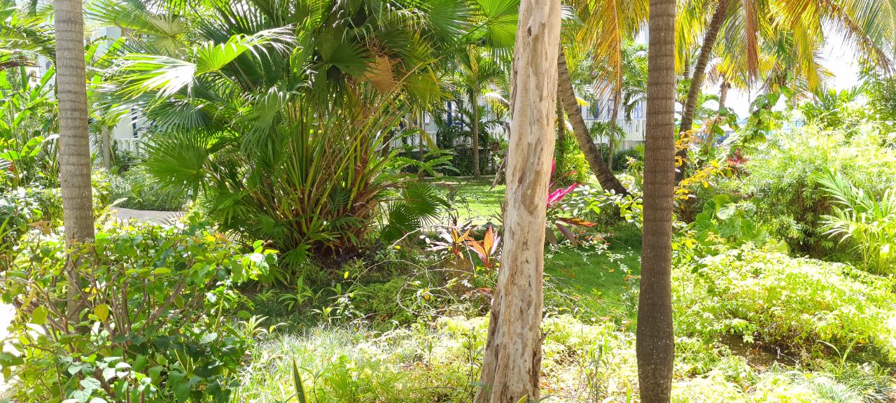 Sixth image of 116- Main Street, Runaway Bay in Runaway Bay, St. Ann, Jamaica - property is For Sale