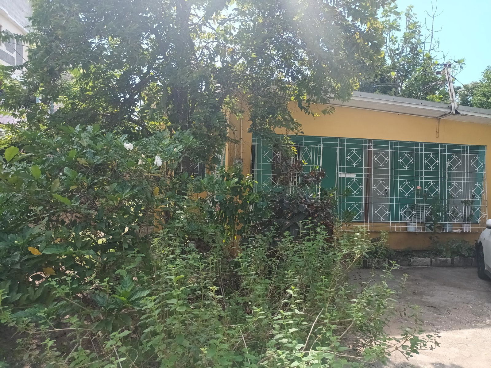 Two-Family-Residential-Building-for-Sale-in-Kingston-Jamaica Third image of 2d Slip Dock Road, Kingston in Kingston 3, St. Andrew, Jamaica - property is For Sale