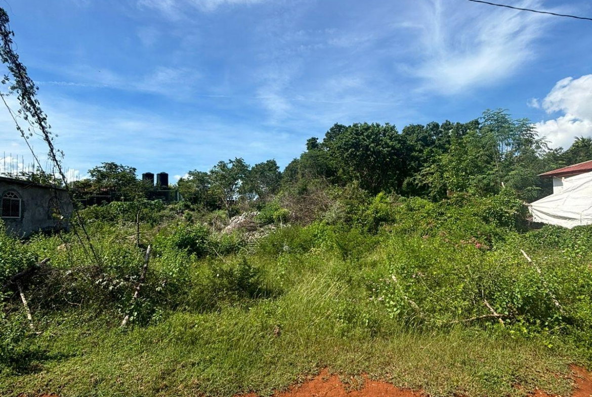 First image of Palmers Cross/adams Lane in Palmers Cross, Clarendon, Jamaica - property is For Sale