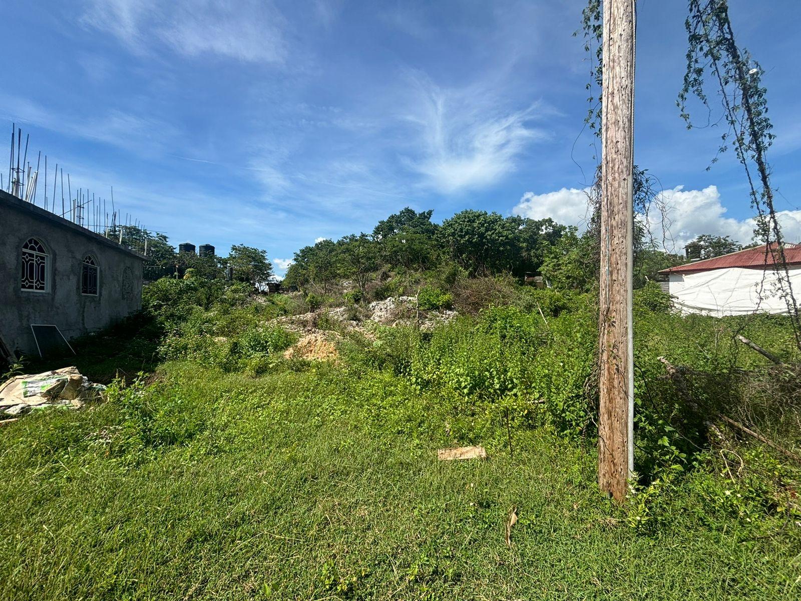 Vacant-Residential-Lot-for-Sale-in-Palmers-Cross-Clarendon Third image of Palmers Cross/adams Lane in Palmers Cross, Clarendon, Jamaica - property is For Sale