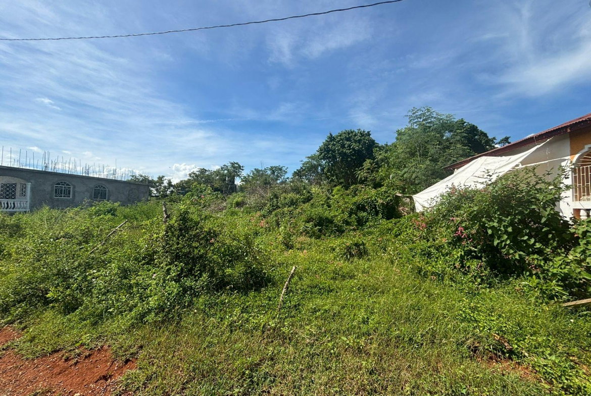 Fourth image of Palmers Cross/adams Lane in Palmers Cross, Clarendon, Jamaica - property is For Sale