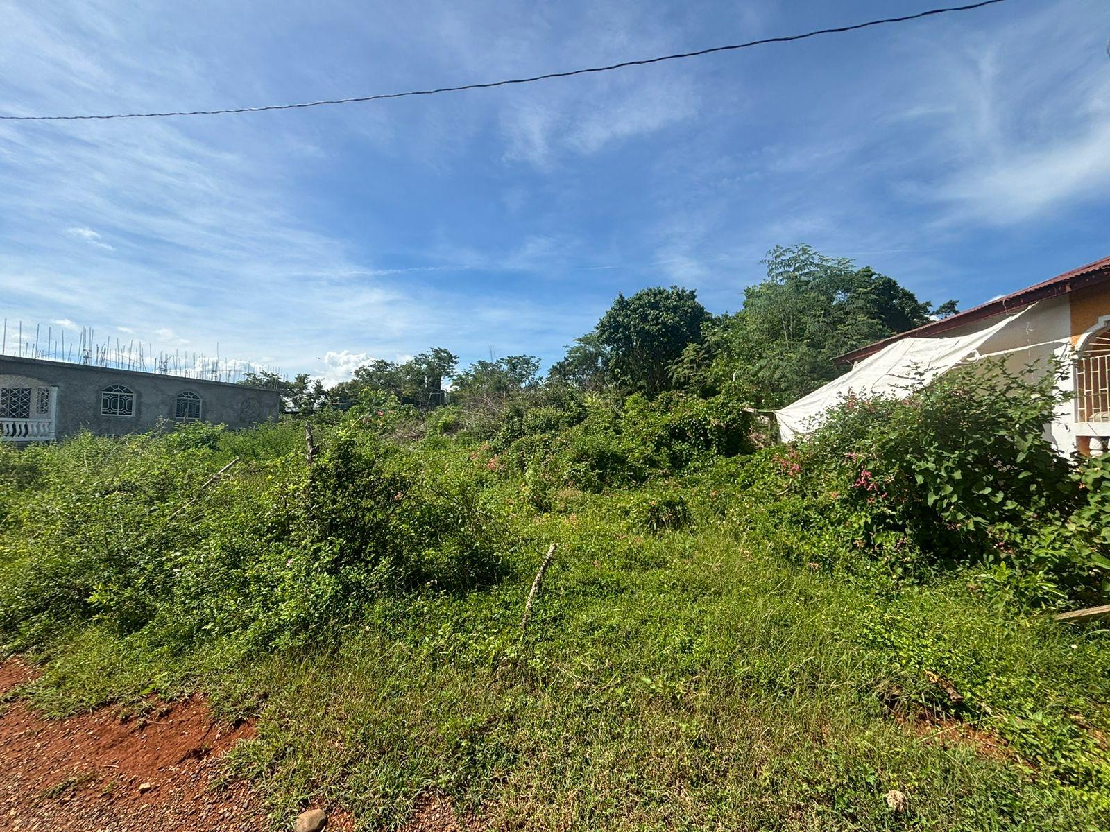 Vacant-Residential-Lot-for-Sale-in-Palmers-Cross-Clarendon Fourth image of Palmers Cross/adams Lane in Palmers Cross, Clarendon, Jamaica - property is For Sale