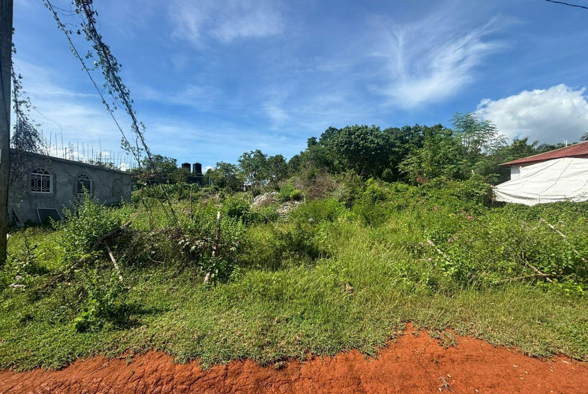 Fifth image of Palmers Cross/adams Lane in Palmers Cross, Clarendon, Jamaica - property is For Sale
