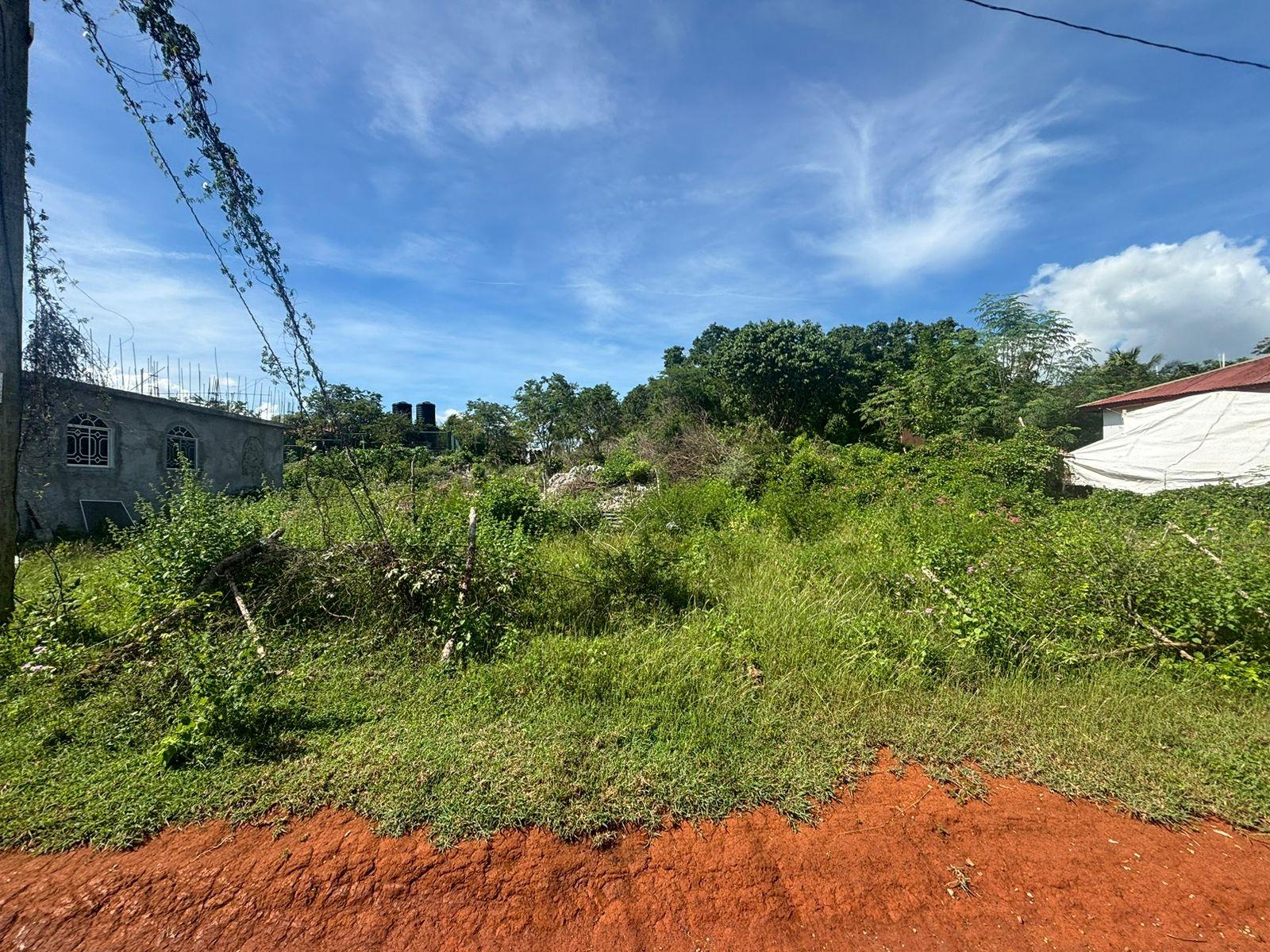 Vacant-Residential-Lot-for-Sale-in-Palmers-Cross-Clarendon Fifth image of Palmers Cross/adams Lane in Palmers Cross, Clarendon, Jamaica - property is For Sale