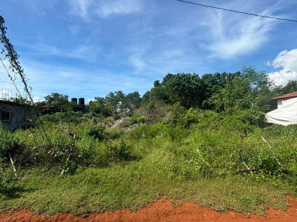 First image of Palmers Cross/adams Lane in Palmers Cross, Clarendon, Jamaica - property is For Sale