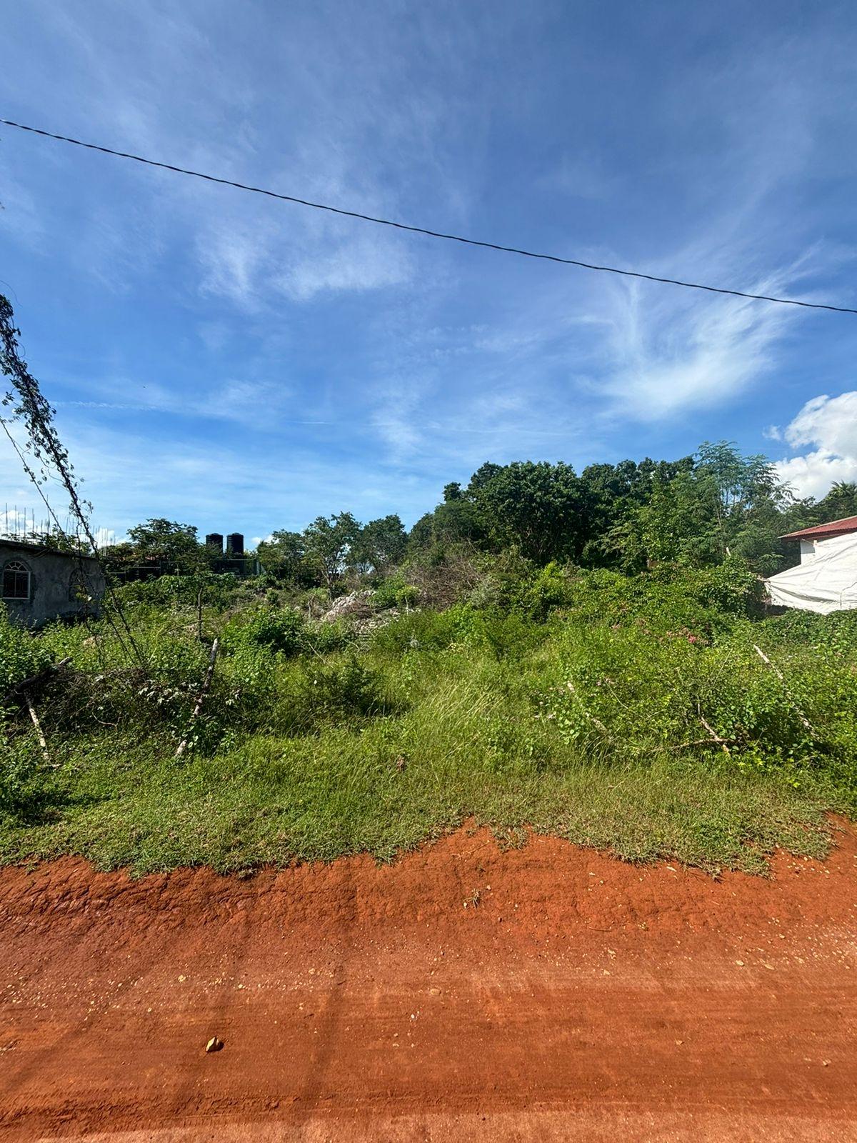 Vacant-Residential-Lot-for-Sale-in-Palmers-Cross-Clarendon First image of Palmers Cross/adams Lane in Palmers Cross, Clarendon, Jamaica - property is For Sale