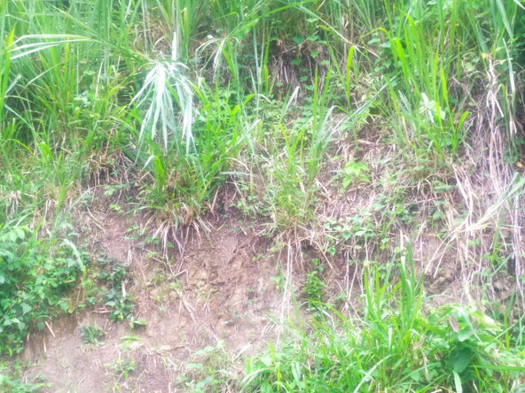 First image of Newport, st Catherine in Troja, St. Catherine, Jamaica - property is For Sale