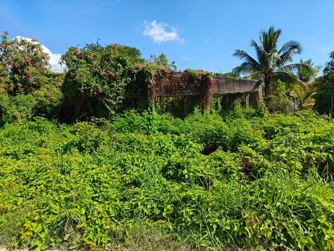 Eleventh image of 142 Twickenham Gardens in Spanish Town, St. Catherine, Jamaica - property is For Sale