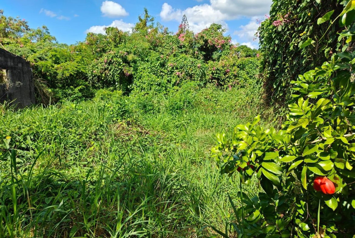 Seventh image of 142 Twickenham Gardens in Spanish Town, St. Catherine, Jamaica - property is For Sale