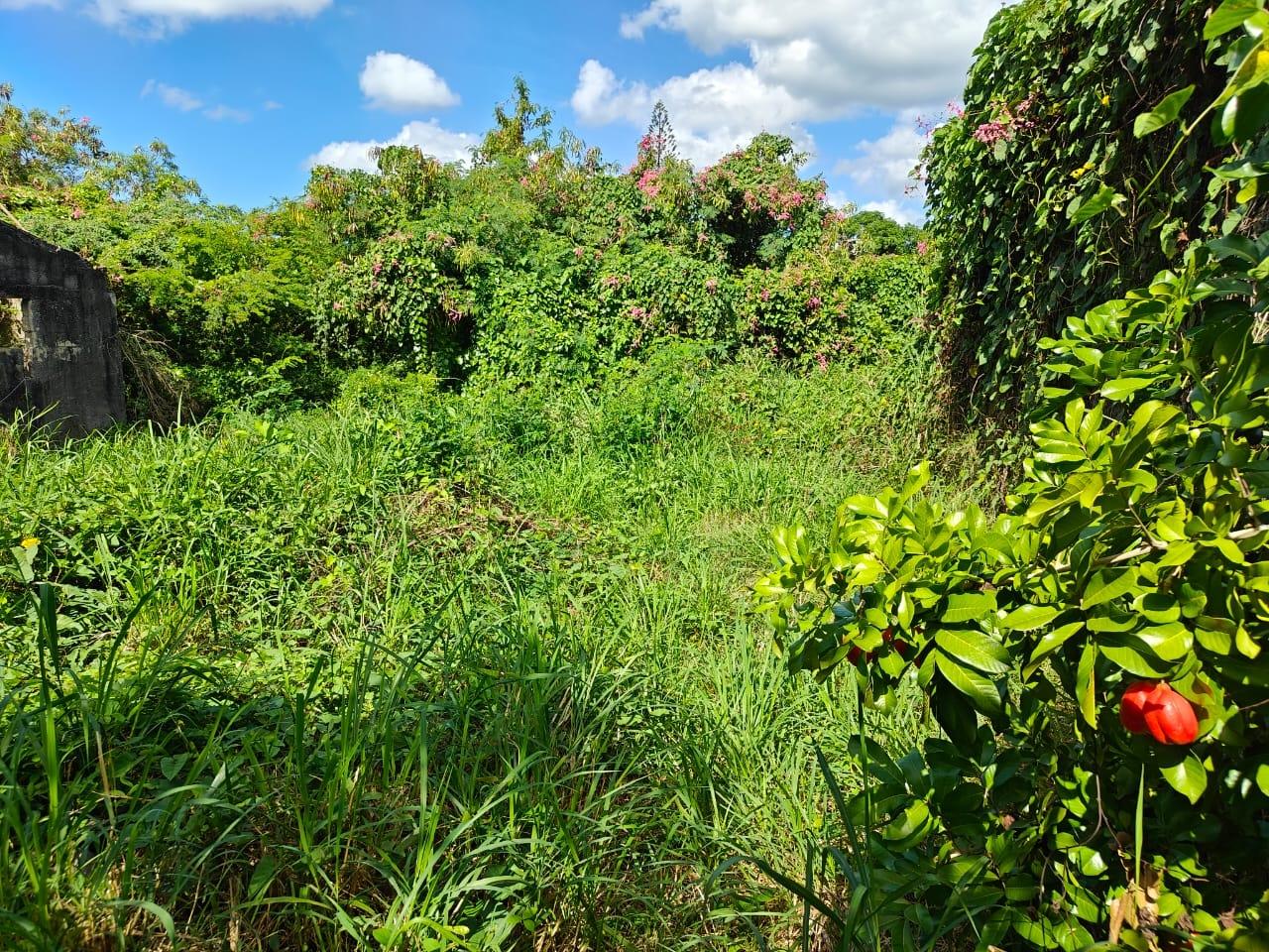 Seventh image of 142 Twickenham Gardens in Spanish Town, St. Catherine, Jamaica - property is For Sale