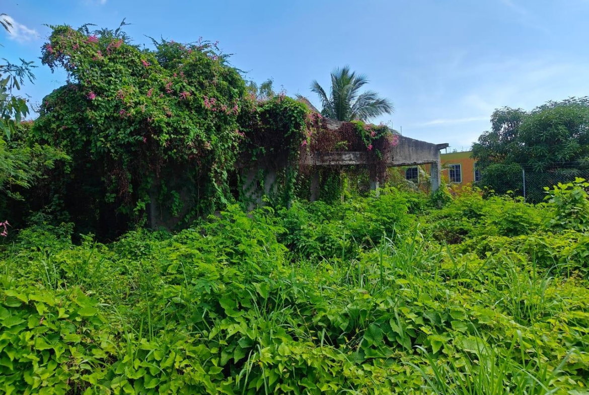 Ninth image of 142 Twickenham Gardens in Spanish Town, St. Catherine, Jamaica - property is For Sale