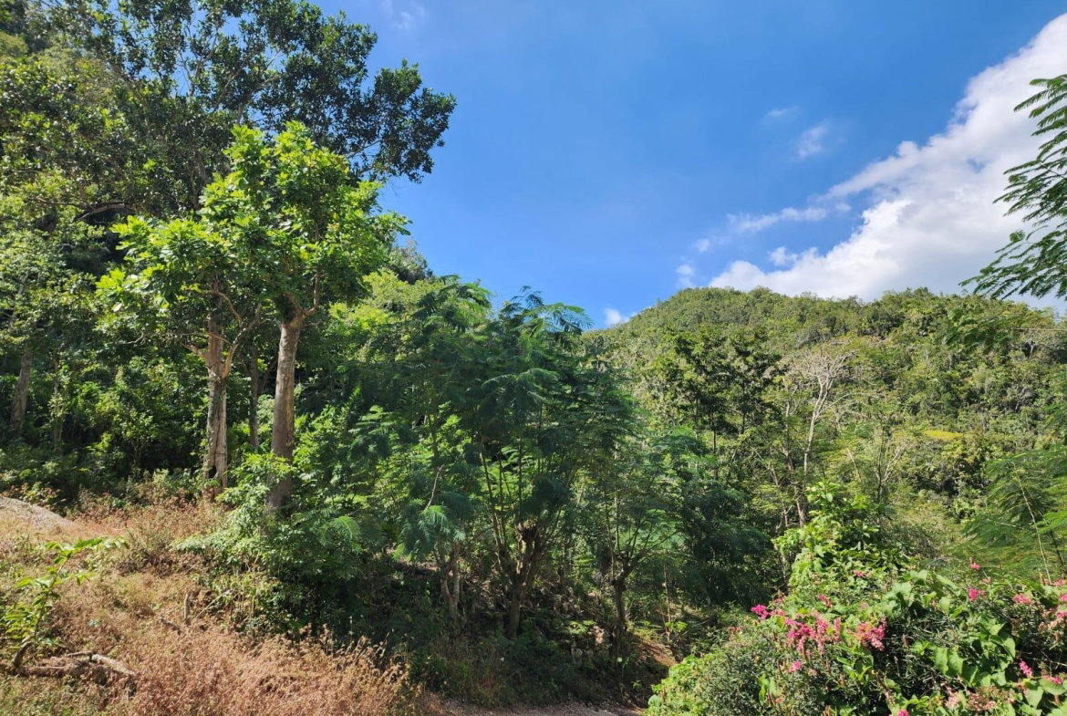 Third image of Patton Park in Mount Moreland, St. Catherine, Jamaica - property is For Sale