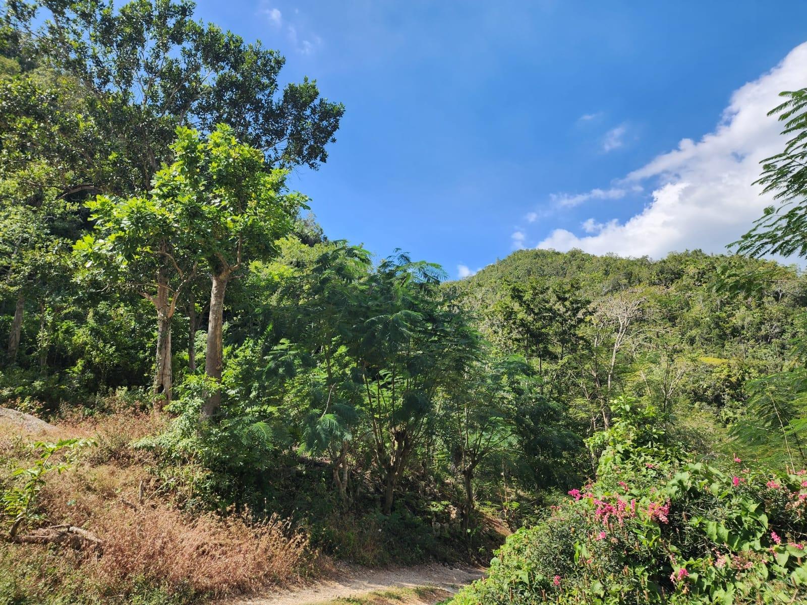 Third image of Patton Park in Mount Moreland, St. Catherine, Jamaica - property is For Sale