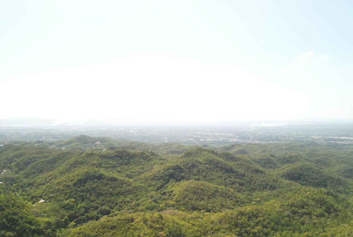 Fourth image of Patton Park in Mount Moreland, St. Catherine, Jamaica - property is For Sale