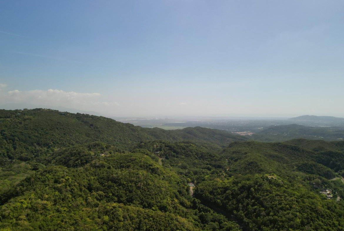 Eighth image of Patton Park in Mount Moreland, St. Catherine, Jamaica - property is For Sale