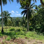 First image of Hartland Road, Decoy in Guys Hill, St. Mary, Jamaica - property is For Sale