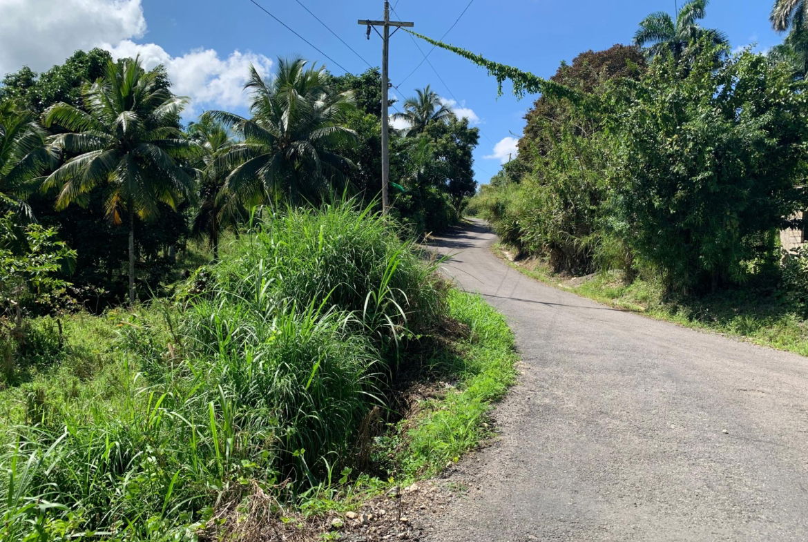 Third image of Hartland Road, Decoy in Guys Hill, St. Mary, Jamaica - property is For Sale