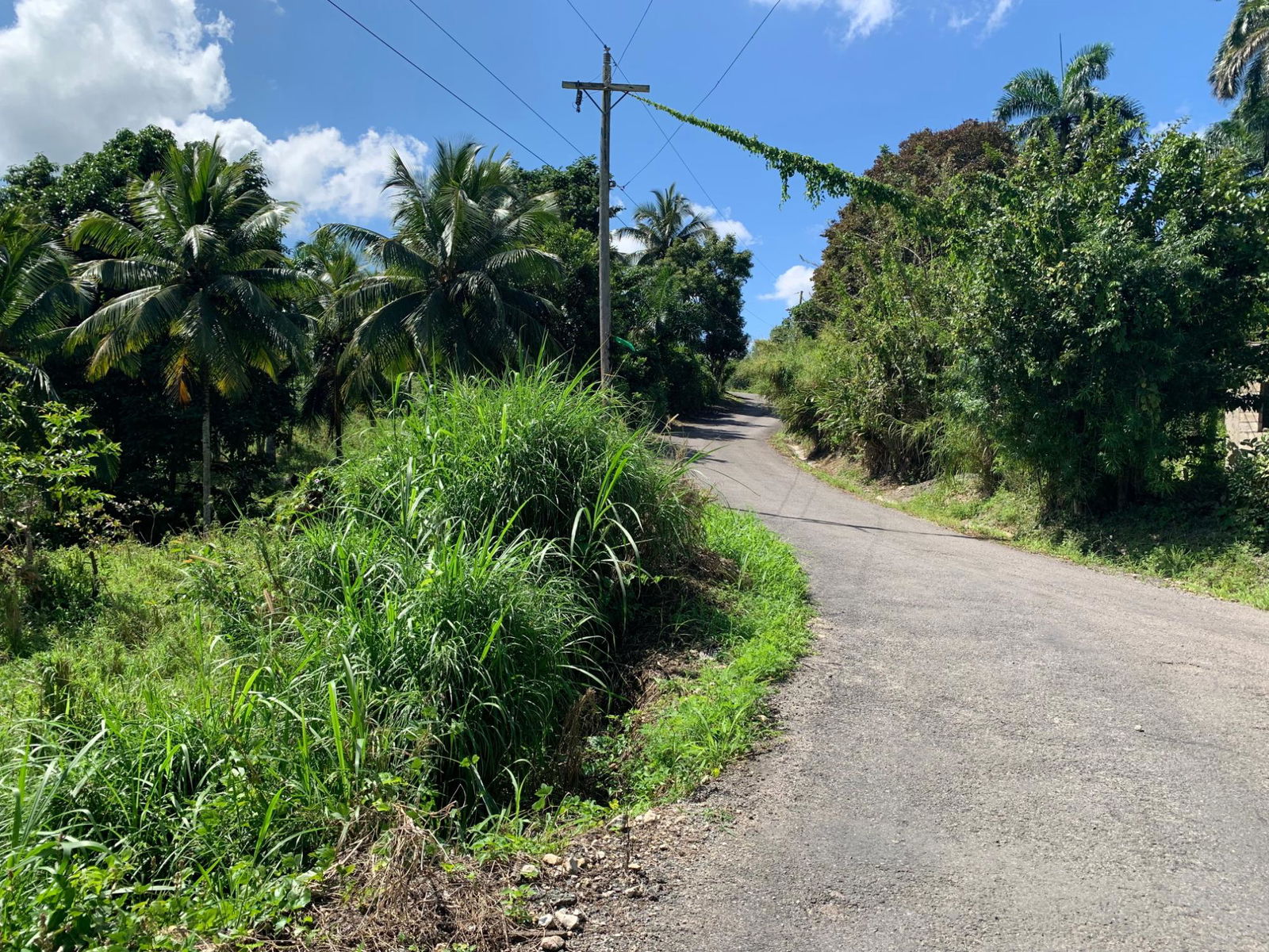Third image of Hartland Road, Decoy in Guys Hill, St. Mary, Jamaica - property is For Sale