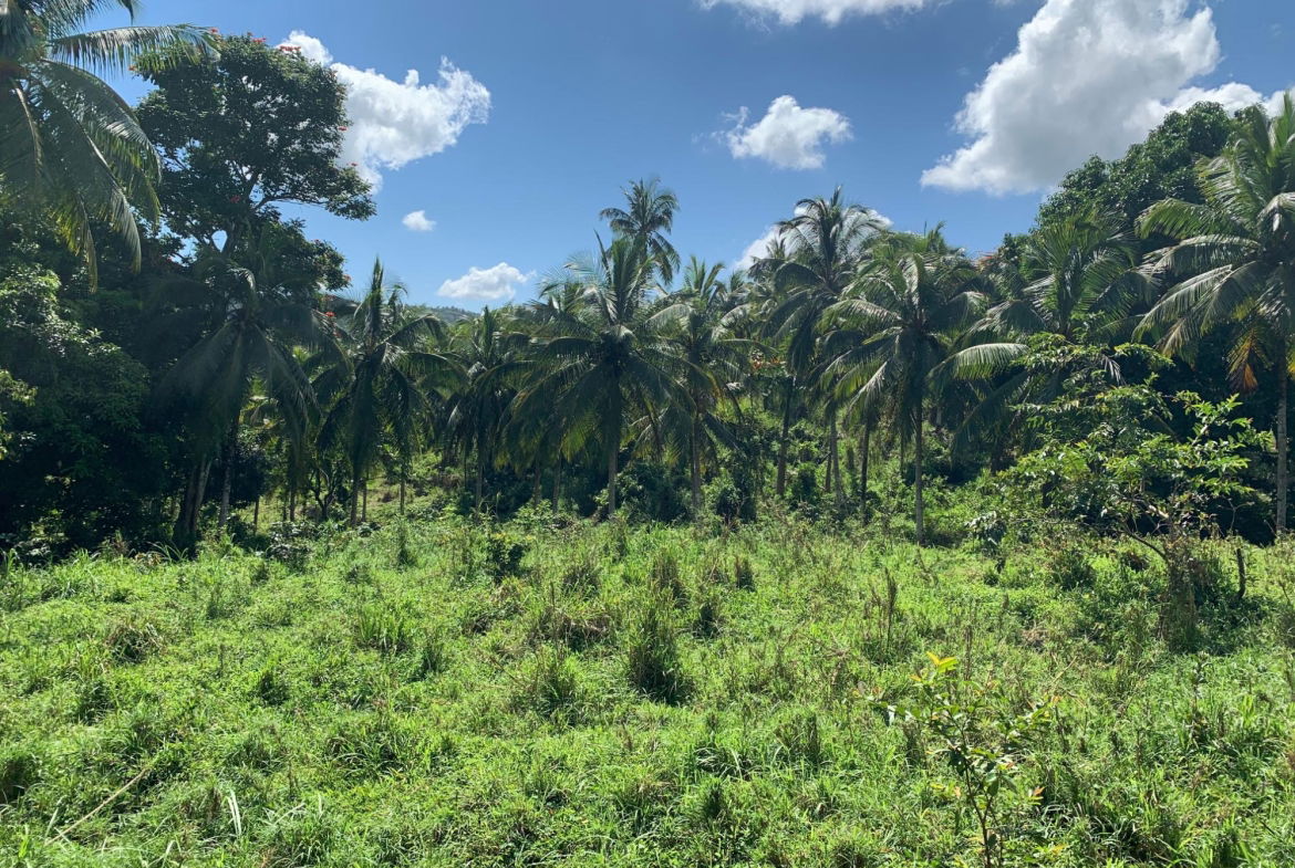 Fourth image of Hartland Road, Decoy in Guys Hill, St. Mary, Jamaica - property is For Sale