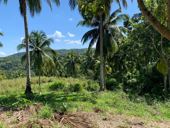 First image of Hartland Road, Decoy in Guys Hill, St. Mary, Jamaica - property is For Sale