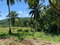 First image of Hartland Road, Decoy in Guys Hill, St. Mary, Jamaica - property is For Sale