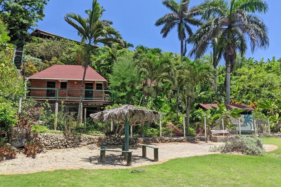 Twentieth image of Muirton Pen, Portland in Manchioneal, Portland, Jamaica - property is For Sale