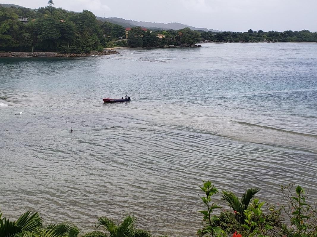 Twenty-Third image of Muirton Pen, Portland in Manchioneal, Portland, Jamaica - property is For Sale