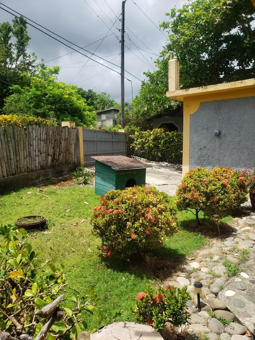 Thirtieth image of Muirton Pen, Portland in Manchioneal, Portland, Jamaica - property is For Sale