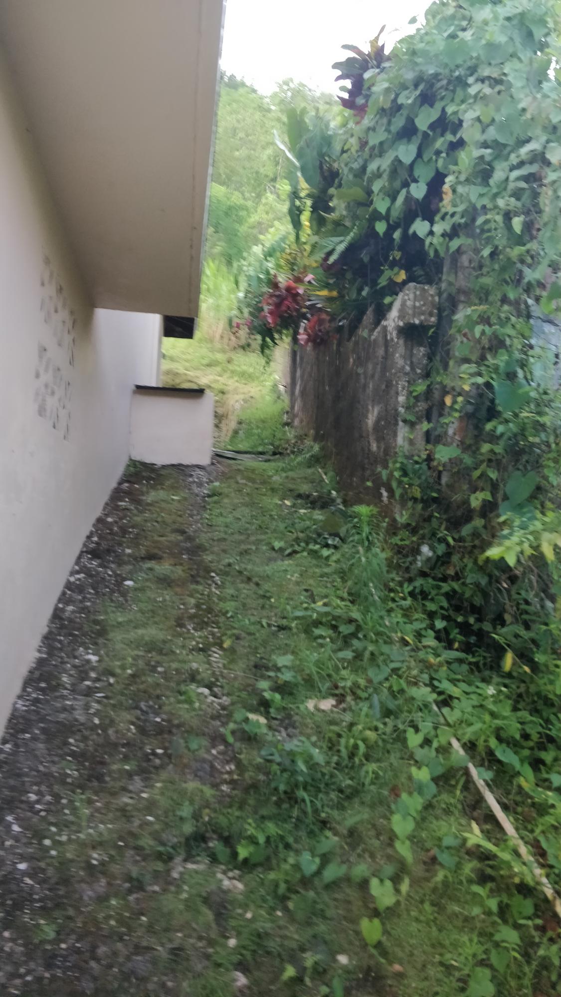 Third image of 247 Phoenix Park Moneague st in Moneague, St. Ann, Jamaica - property is For Sale