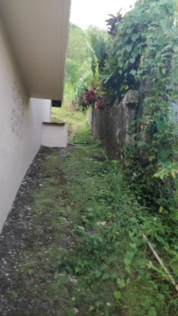 Third image of 247 Phoenix Park Moneague st in Moneague, St. Ann, Jamaica - property is For Sale