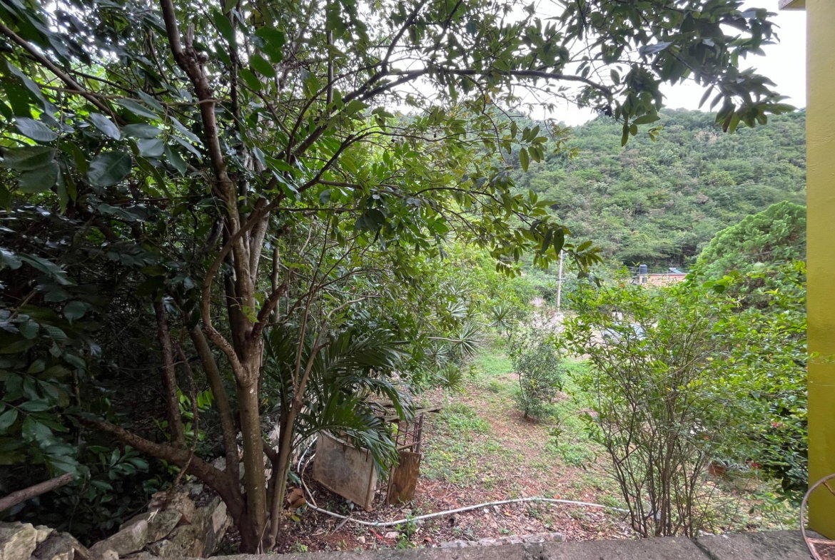 Twenty-Fifth image of 117 Belvedere Road in Belvedere, St. Andrew, Jamaica - property is For Sale